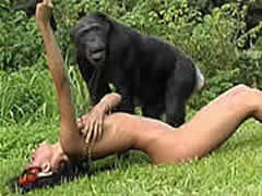 Country Bestiality Orgy With Chimpanzee