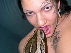 Chilea Snake Sex