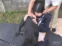Extreme Asian Dog Porn Orgy